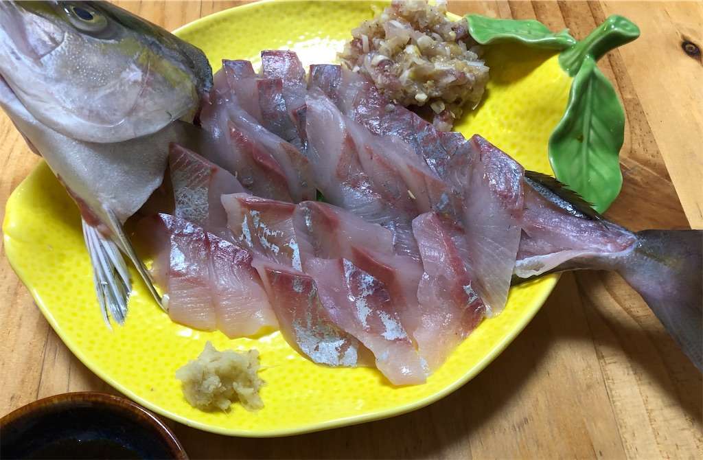 カンパチの姿作りを新しく買った包丁で作ってみた 釣り初心者の船釣り 海釣り記録