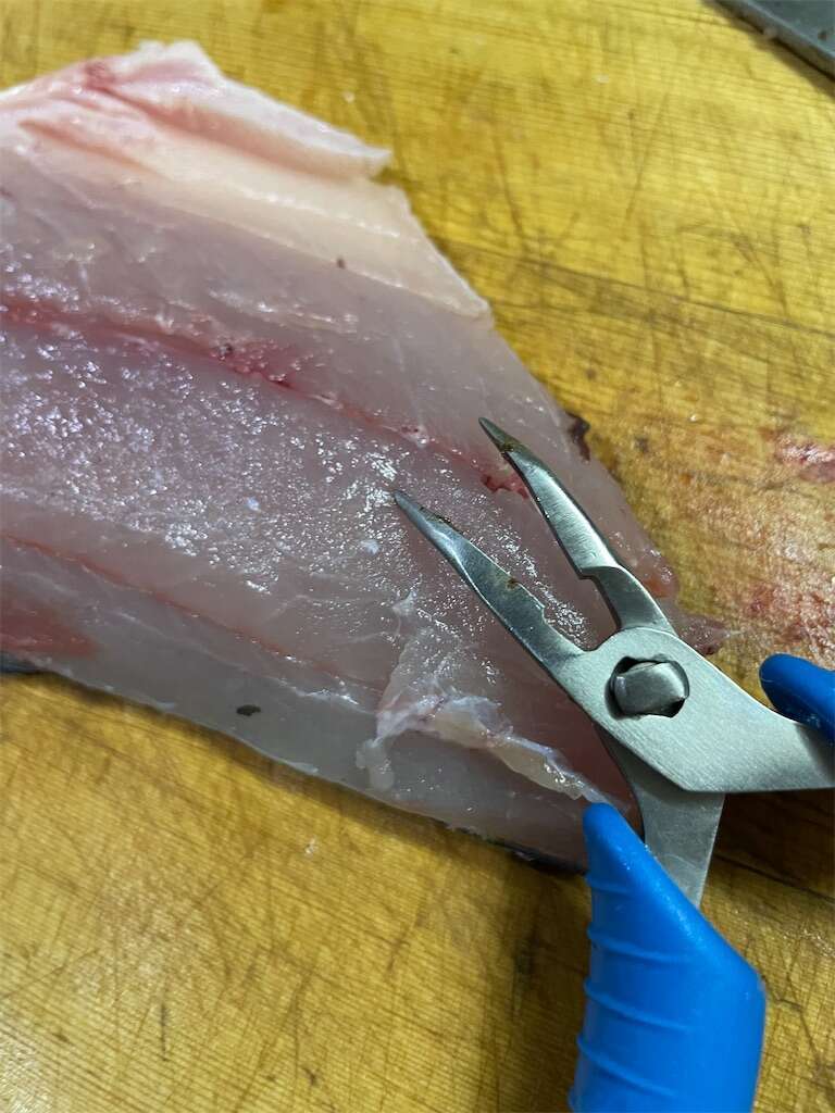 f:id:ikuo00uk:20230919102701j:image