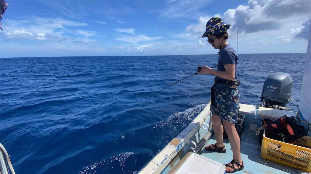 f:id:ikuo00uk:20240209120729j:image