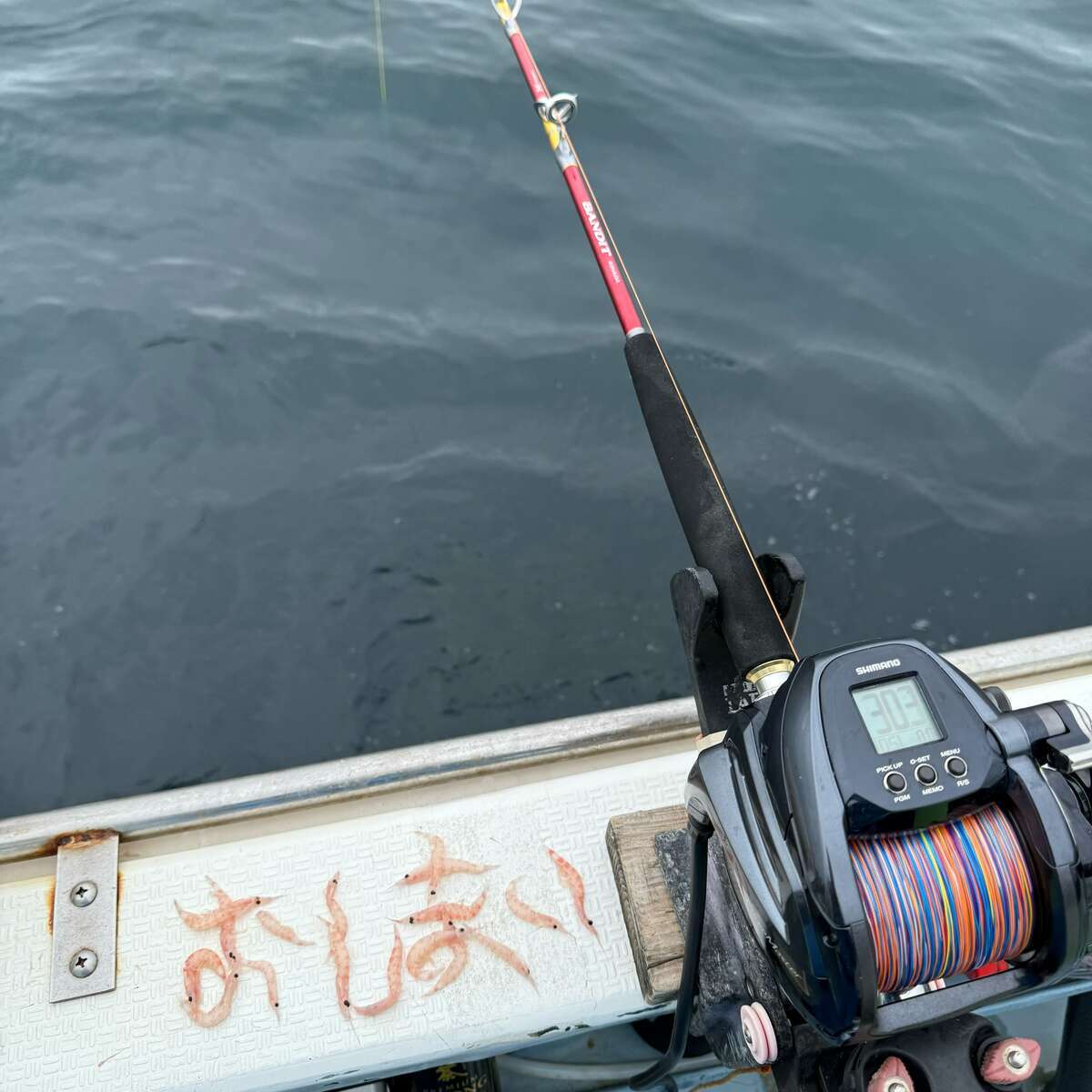 2024シーズンラストのコマセキハダ！反応熱いも.. - 釣り初心者の船