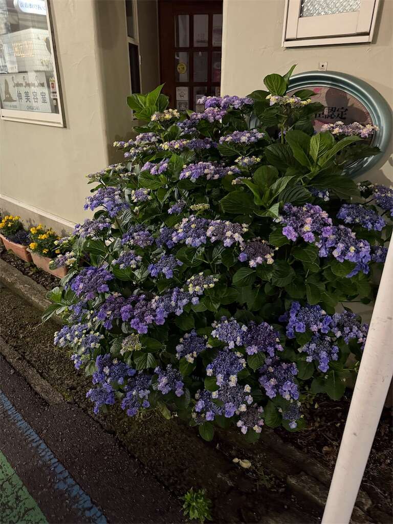 f:id:ikuo00uk:20250601123212j:image