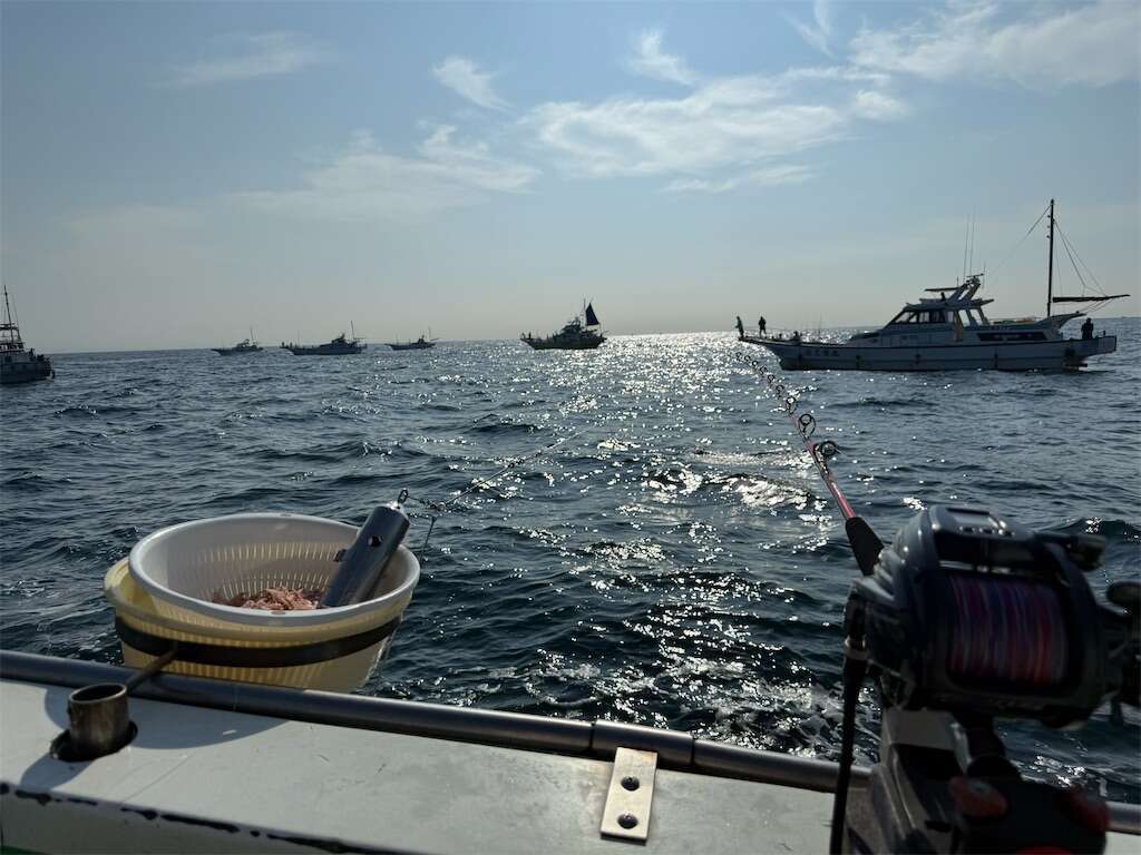 f:id:ikuo00uk:20250805090934j:image f:id:ikuo00uk:20250805090934j:image