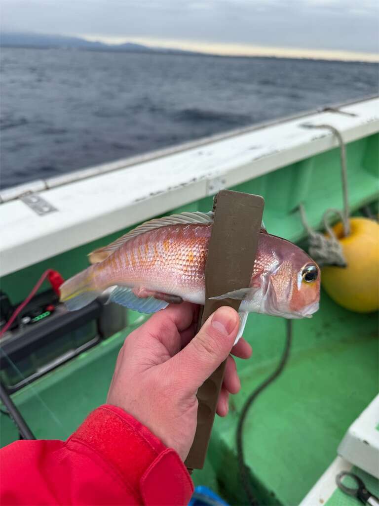 f:id:ikuo00uk:20251228165246j:image