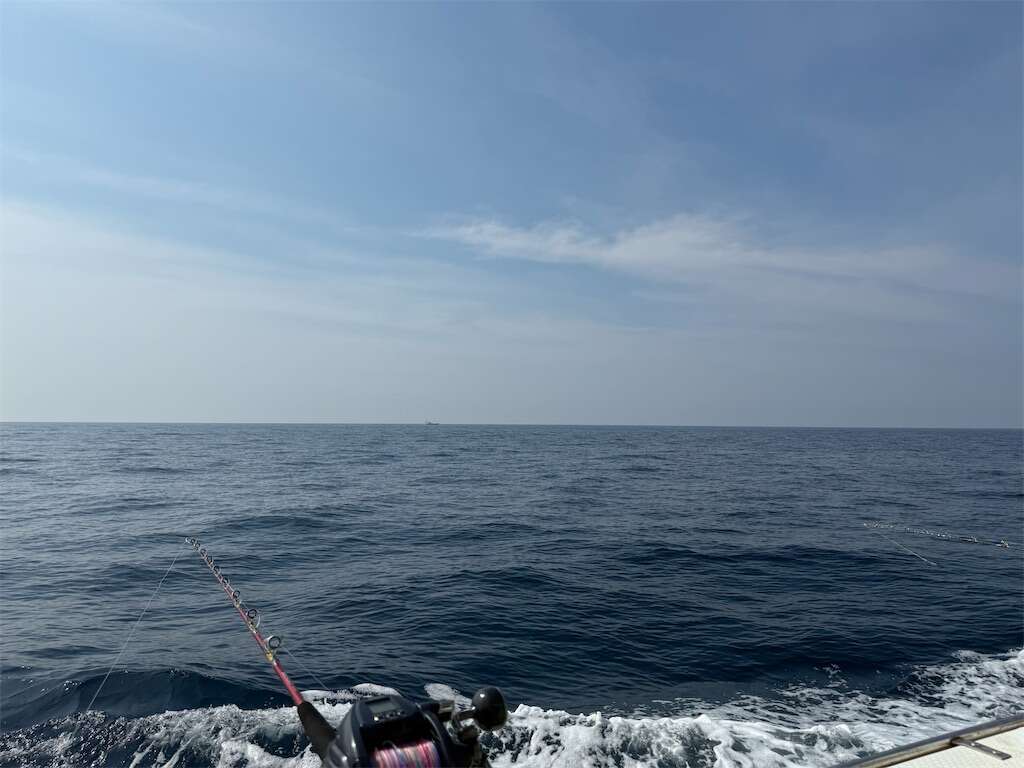 f:id:ikuo00uk:20260801205034j:image f:id:ikuo00uk:20260801205034j:image