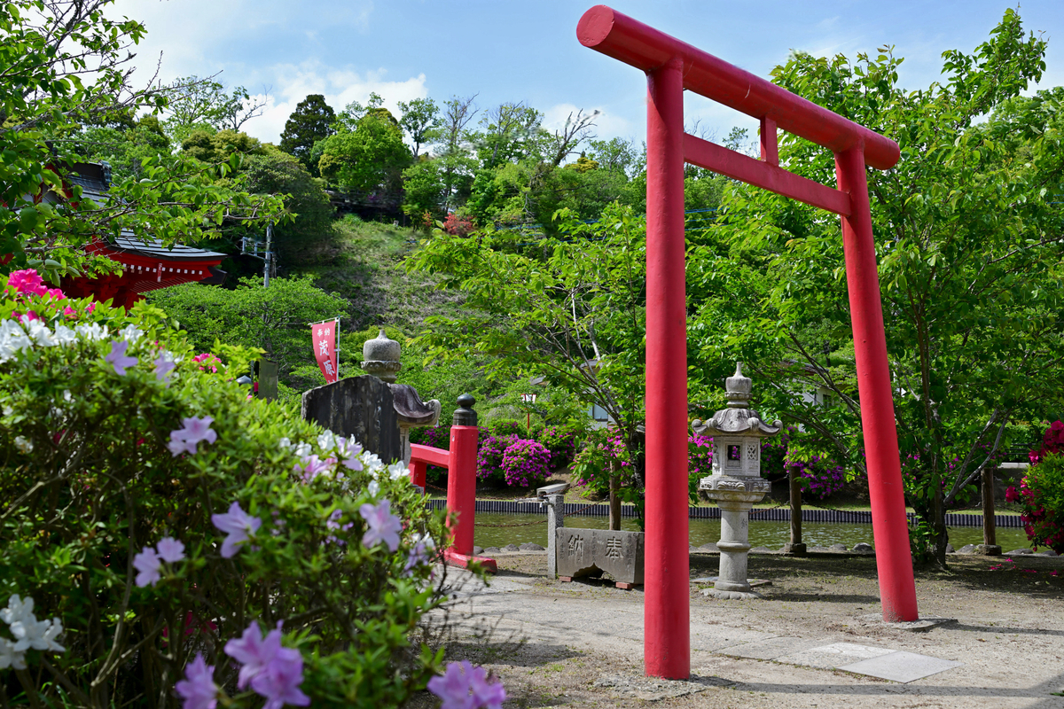 茂原公園のつつじ(茂原市)。 - ikuo’s diary(カメラで録する日記)