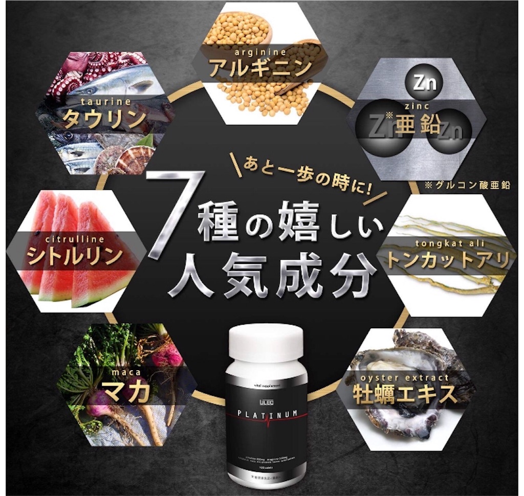 f:id:ikuogakuruo:20200227224219j:image