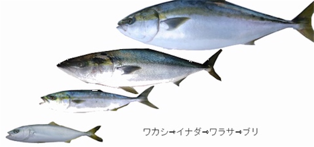 f:id:ikuogakuruo:20200329134151j:image f:id:ikuogakuruo:20200329134151j:image