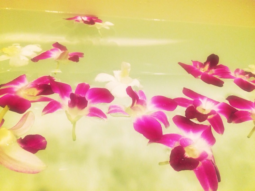 f:id:ikuogakuruo:20200416170752j:image f:id:ikuogakuruo:20200416170752j:image