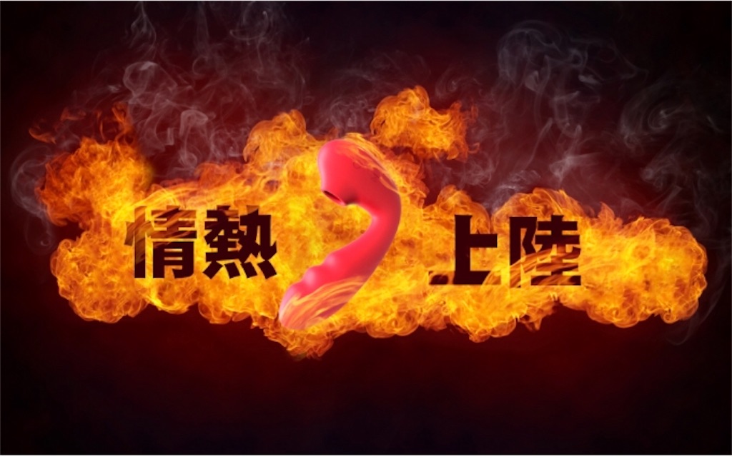 f:id:ikuogakuruo:20210104201600j:image
