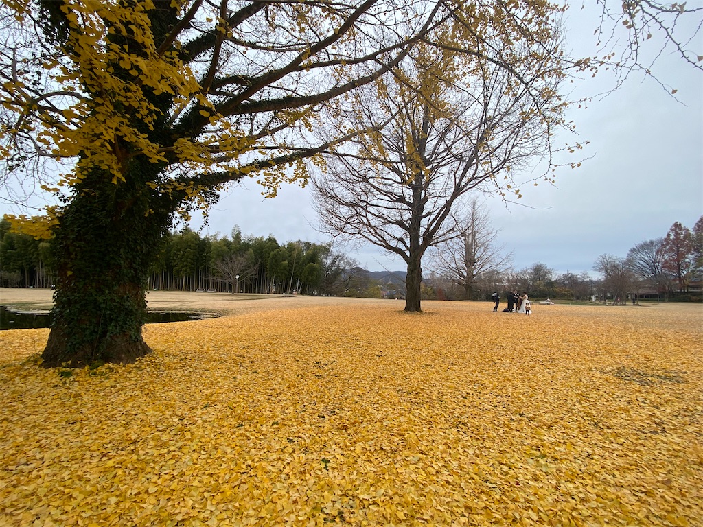 f:id:ikurauni0414:20191225195021j:image