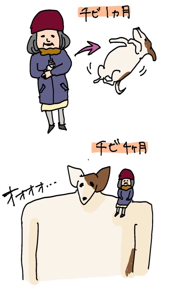 f:id:ikuraunidooon:20210902202902j:image
