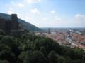 [Heidelberg]View from Schloss