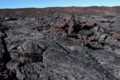 [Hawaii] Mauna Loa