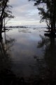 [Hilo] Lehia Park, Hilo, HI