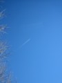 [Ottawa]