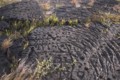 [volcano]Pu'u Loa Trail Petroglyph