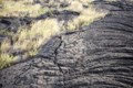 [volcano]Pu'u Loa Trail Petroglyph