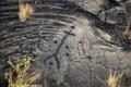 [volcano]Pu'u Loa Trail Petroglyph