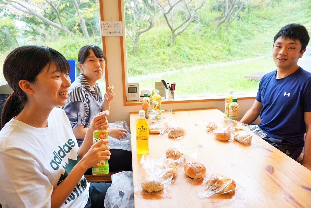 f:id:ikuseienmirai:20191109200400j:plain f:id:ikuseienmirai:20191109200400j:plain