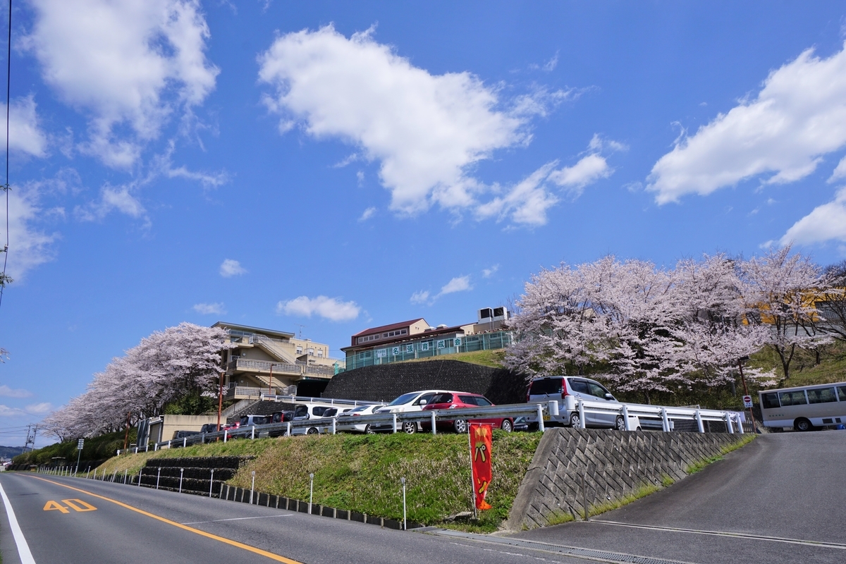 f:id:ikuseienmirai:20200419030708j:plain