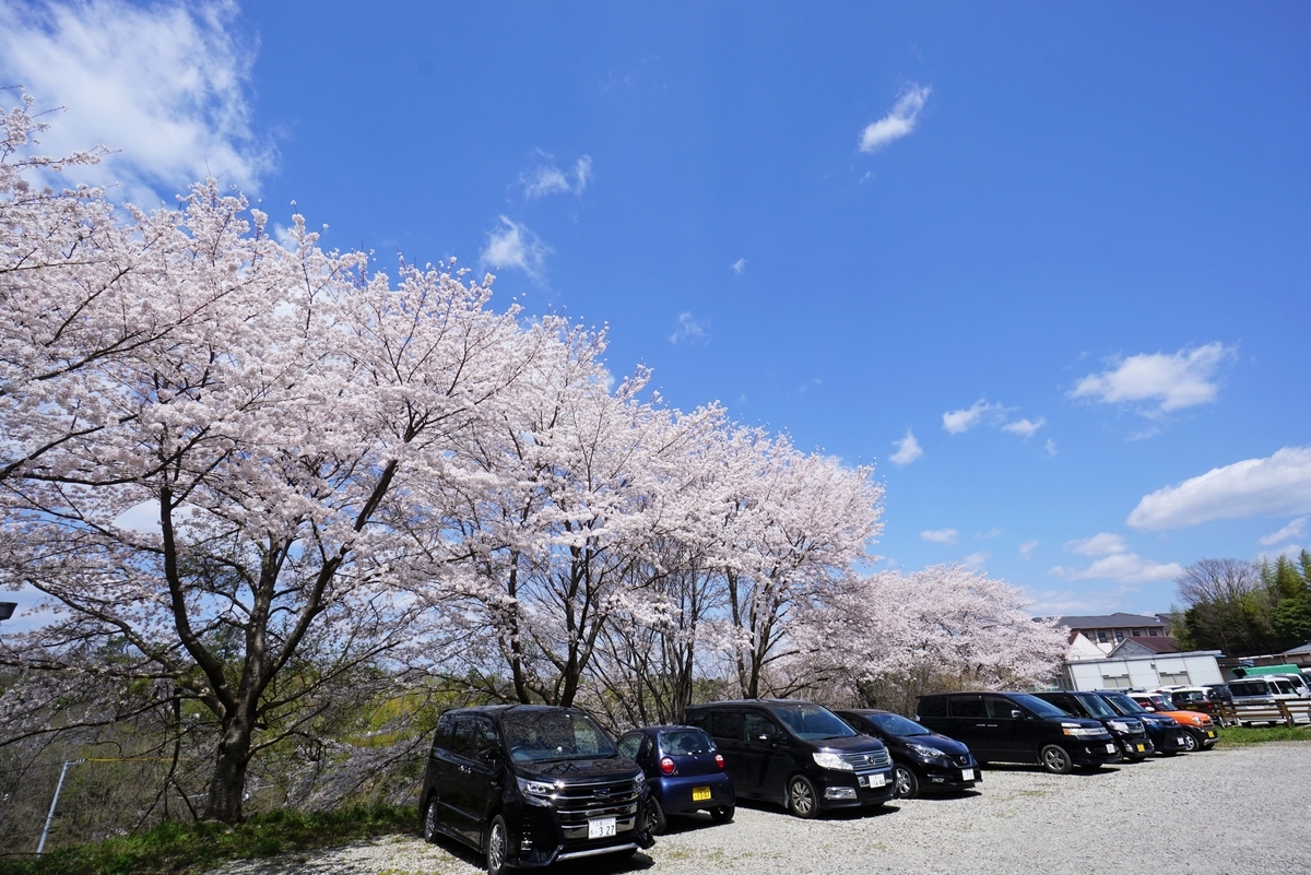 f:id:ikuseienmirai:20200419030738j:plain