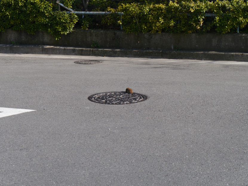 f:id:ikushun:20130116204041j:image f:id:ikushun:20130116204041j:image