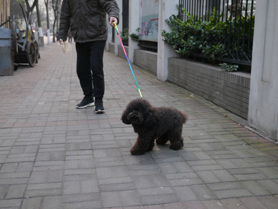f:id:ikushun:20170420210232j:image