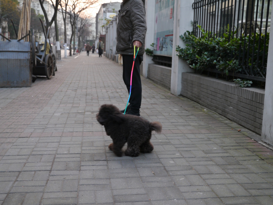 f:id:ikushun:20170420210324j:image