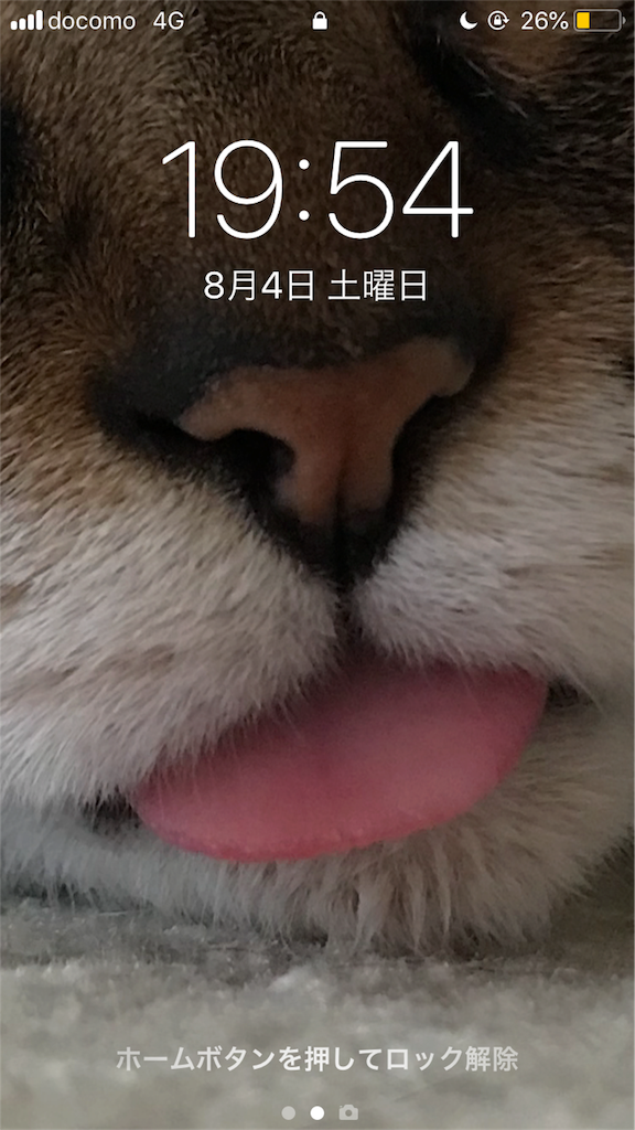 f:id:ikutaaan198:20180804195447p:image