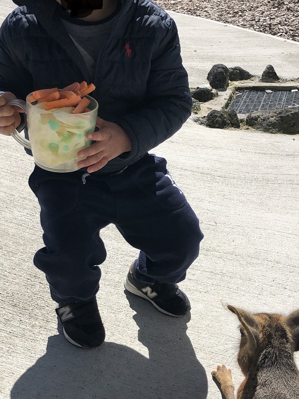 f:id:ikutanpapa:20190530152246j:plain f:id:ikutanpapa:20190530152246j:plain