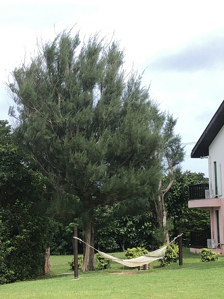 f:id:ikutanpapa:20190811025544j:plain f:id:ikutanpapa:20190811025544j:plain