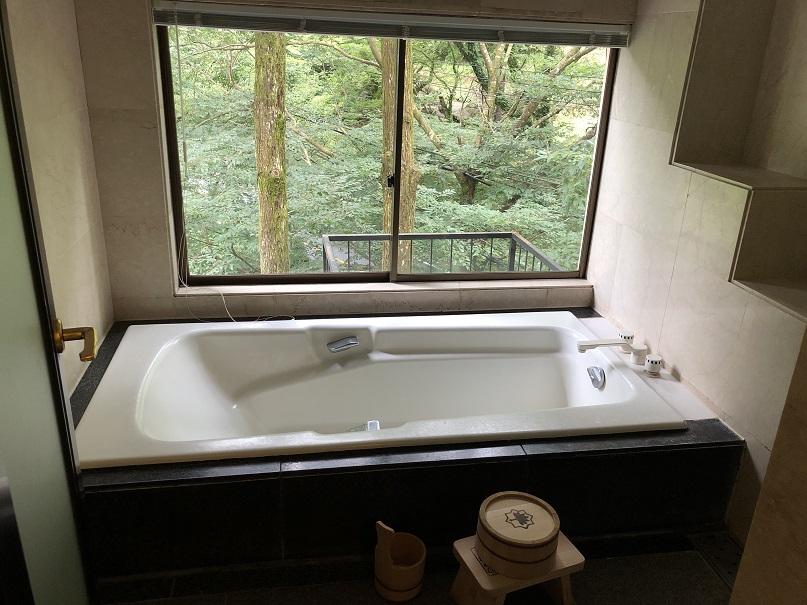 f:id:ikutanpapa:20201105140612j:plain