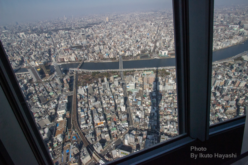f:id:ikuto0804:20190403212430j:plain