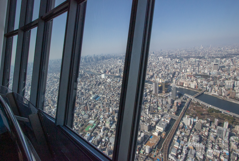 f:id:ikuto0804:20190403213045j:plain