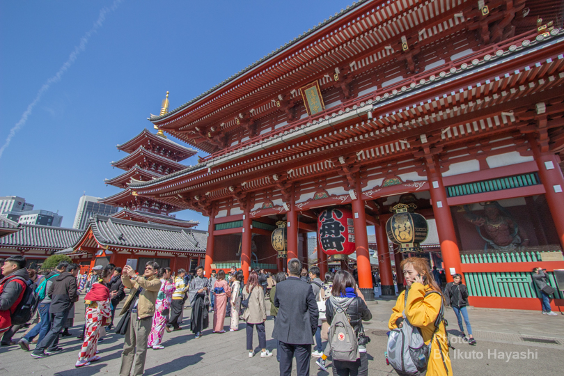 f:id:ikuto0804:20190403215005j:plain