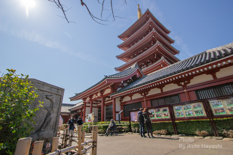 f:id:ikuto0804:20190403215359j:plain