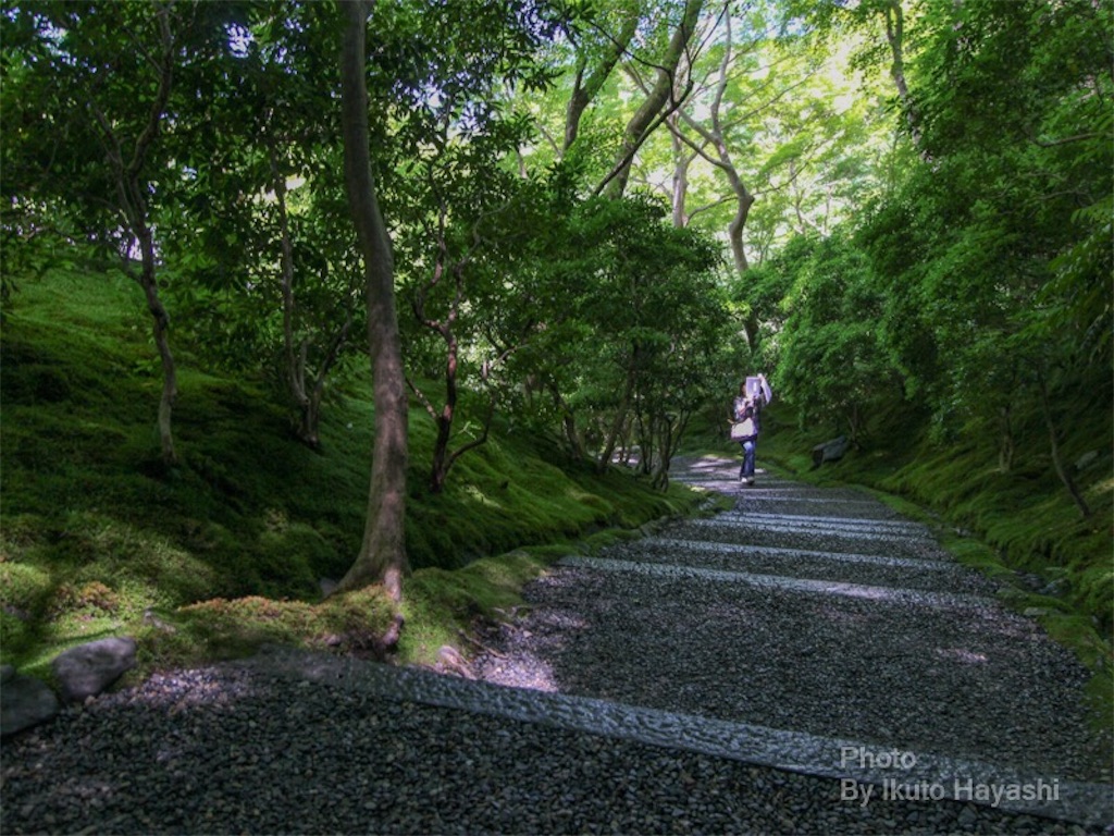 f:id:ikuto0804:20190412002413j:image