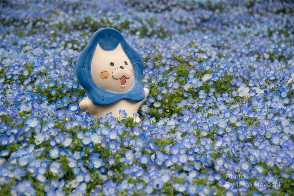 f:id:ikuto0804:20190416125401j:image