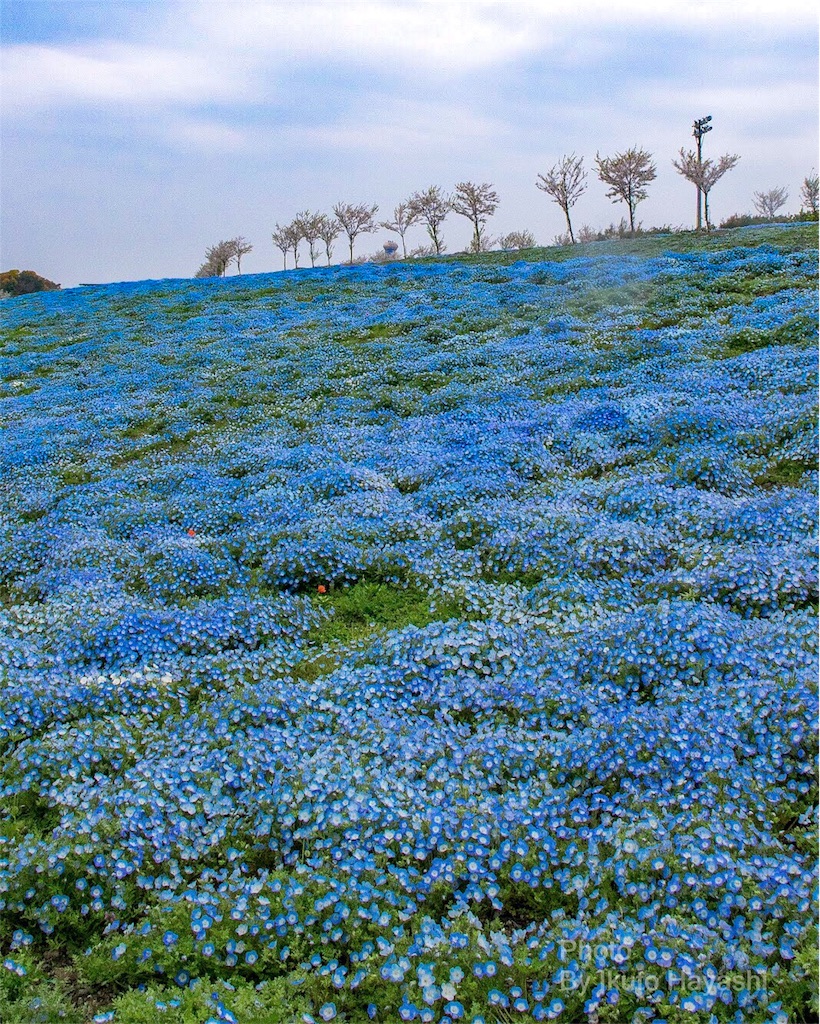 f:id:ikuto0804:20190416230754j:image f:id:ikuto0804:20190416230754j:image
