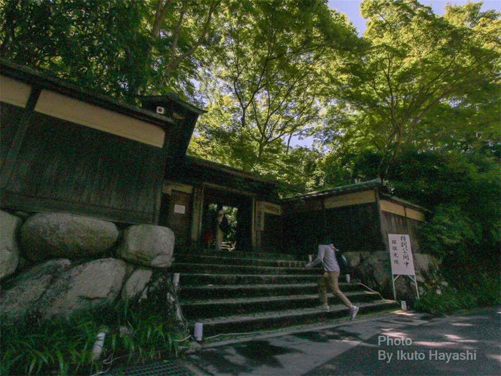 f:id:ikuto0804:20190417185031j:image