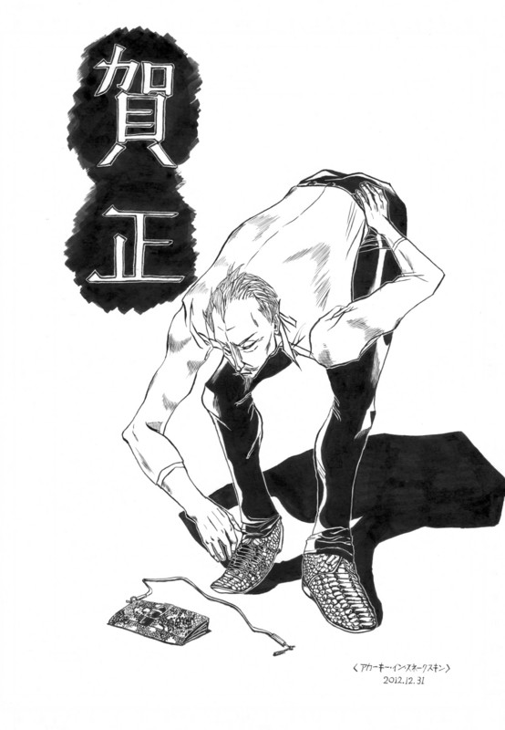 f:id:ikutu:20121231004302j:image