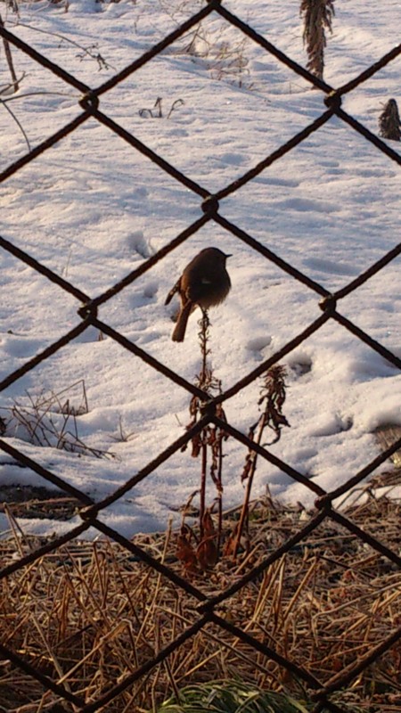 f:id:ikutu:20130117075930j:image