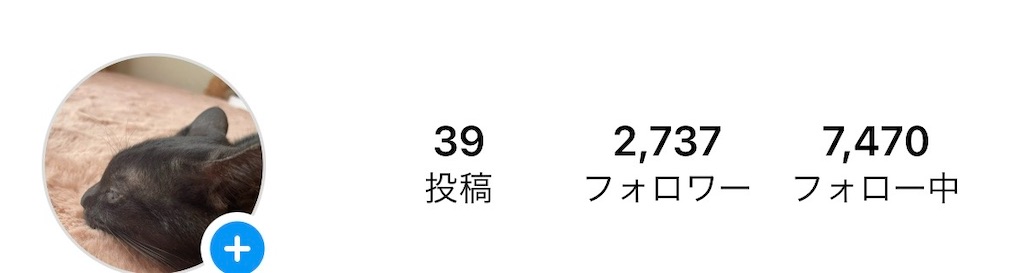 f:id:ikuya0126:20240122000746j:image