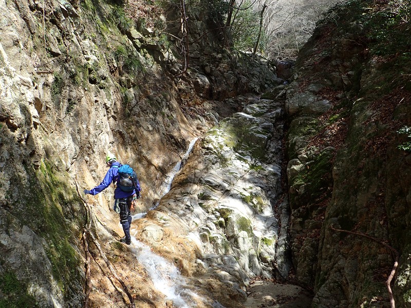 f:id:ikuyayuuki:20200421231417j:plain f:id:ikuyayuuki:20200421231417j:plain