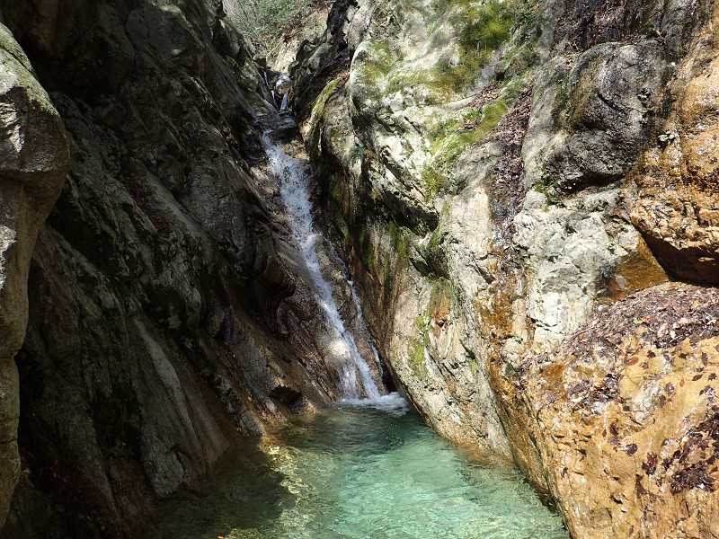 f:id:ikuyayuuki:20200421231421j:plain f:id:ikuyayuuki:20200421231421j:plain