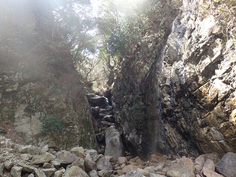 f:id:ikuyayuuki:20200421231453j:plain f:id:ikuyayuuki:20200421231453j:plain