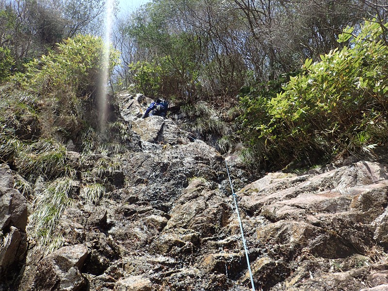 f:id:ikuyayuuki:20200421231505j:plain f:id:ikuyayuuki:20200421231505j:plain