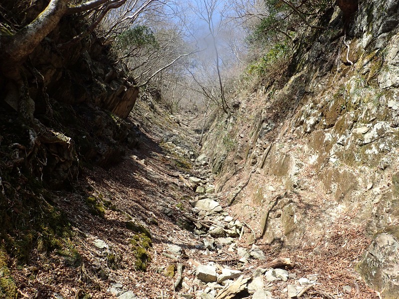 f:id:ikuyayuuki:20200421231515j:plain f:id:ikuyayuuki:20200421231515j:plain