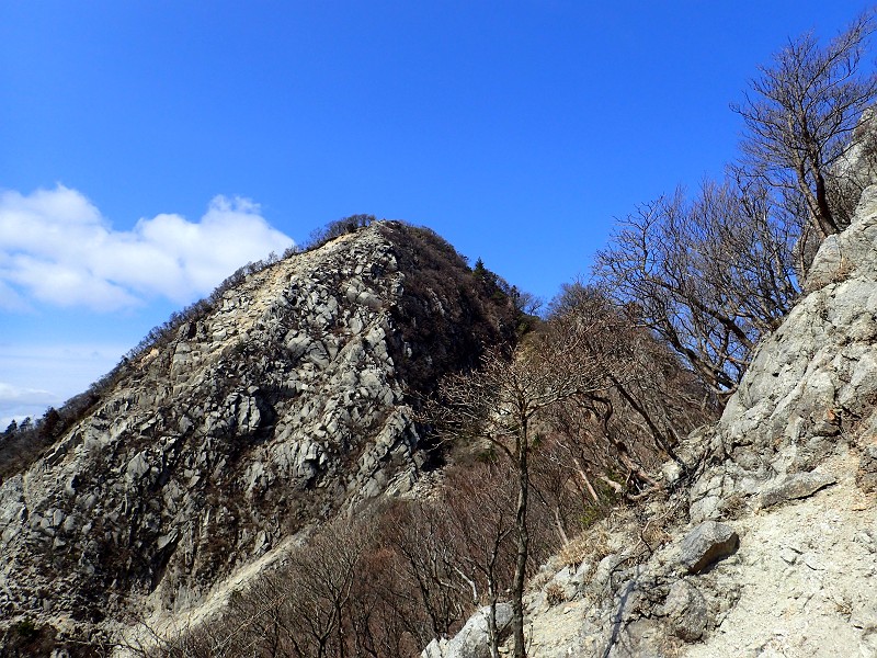 f:id:ikuyayuuki:20200421231522j:plain f:id:ikuyayuuki:20200421231522j:plain