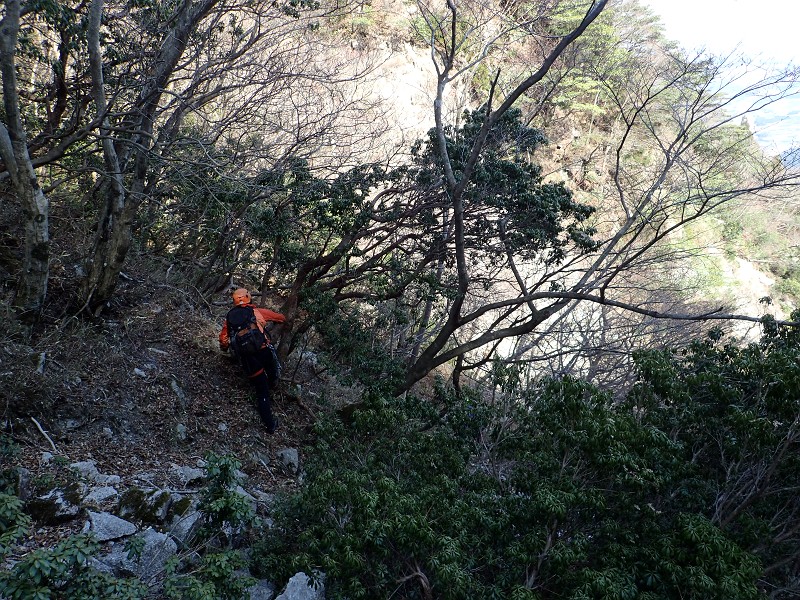 f:id:ikuyayuuki:20200421231526j:plain f:id:ikuyayuuki:20200421231526j:plain